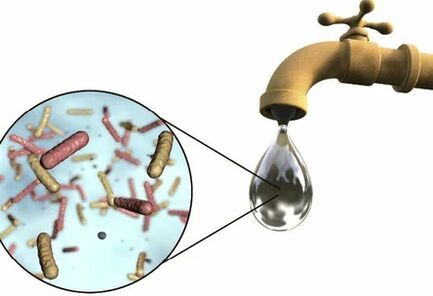 Parasitas em uma gota de água do guindaste