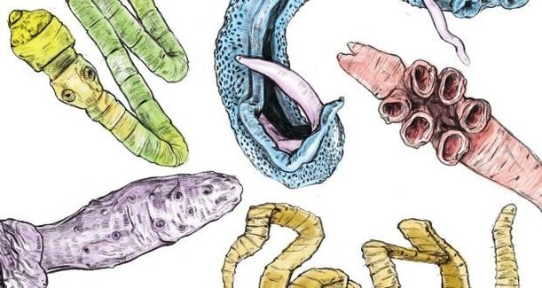 Parasitas no corpo humano