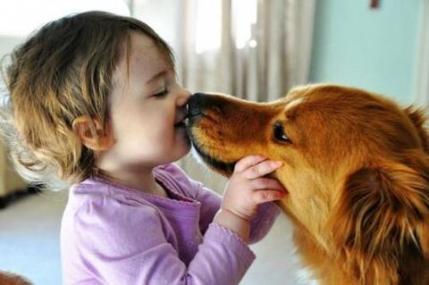 infecção por verme de um cachorro